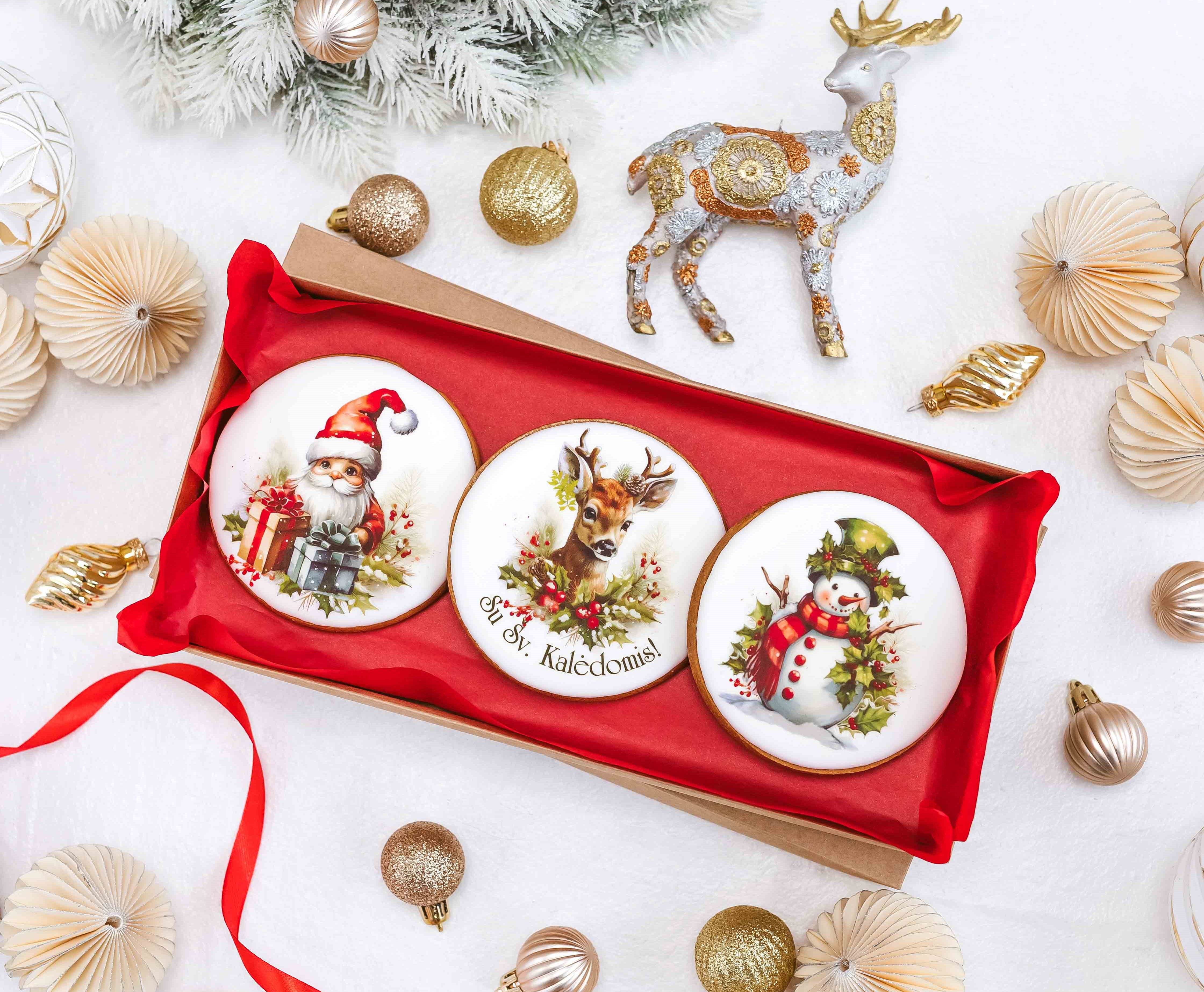 Dekoruoti imbieriniai sausainiai "Kalėdos" Nr.1